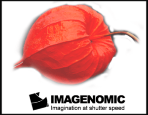 imagenomic portraiture 2.3.4 license key free download